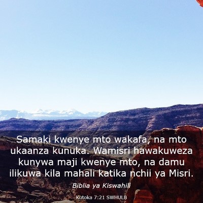 Picture 03 - Kutoka 7:21 SWHULB - Samaki kwenye mto wakafa, na mto ukaanza kunuka. - Bible Verse Picture