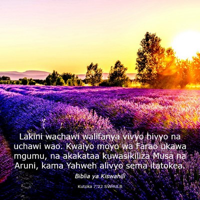 Picture 03 - Kutoka 7:22 SWHULB - Lakini wachawi walifanya vivyo hivyo na uchawi - Bible Verse Picture