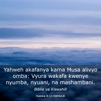 Picture 03 - Kutoka 8:13 SWHULB - Yahweh akafanya kama Musa alivyo omba: Vyura - Bible Verse Picture