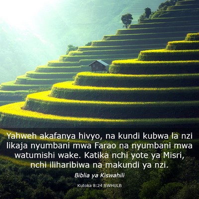 Picture 03 - Kutoka 8:24 SWHULB - Yahweh akafanya hivyo, na kundi kubwa la nzi - Bible Verse Picture