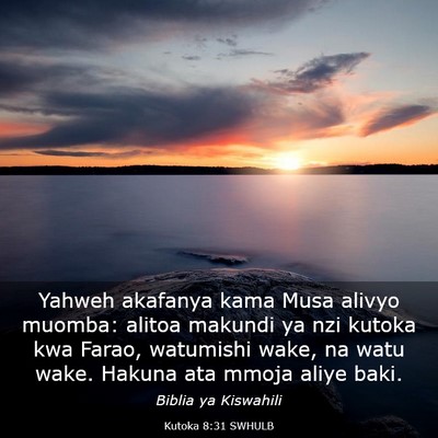 Picture 03 - Kutoka 8:31 SWHULB - Yahweh akafanya kama Musa alivyo muomba: alitoa - Bible Verse Picture