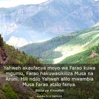 Picture 03 - Kutoka 9:12 SWHULB - Yahweh akaufanya moyo wa Farao kuwa mgumu, Farao - Bible Verse Picture