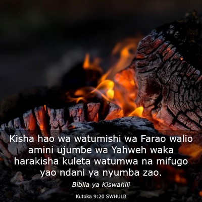 Picture 03 - Kutoka 9:20 SWHULB - Kisha hao wa watumishi wa Farao walio amini - Bible Verse Picture