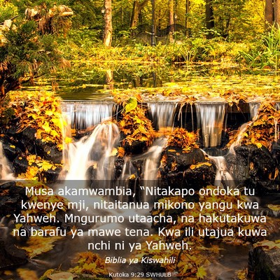 Picture 03 - Kutoka 9:29 SWHULB - Musa akamwambia, “Nitakapo ondoka tu kwenye - Bible Verse Picture