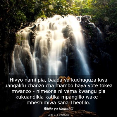 Picture 03 - Luka 1:3 SWHULB - Hivyo nami pia, baada ya kuchuguza kwa uangalifu - Bible Verse Picture
