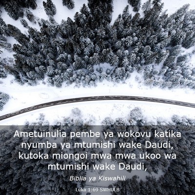 Picture 03 - Luka 1:69 SWHULB - Ametuinulia pembe ya wokovu katika nyumba ya - Bible Verse Picture