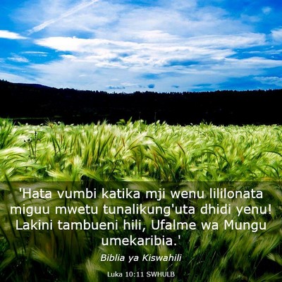 Picture 03 - Luka 10:11 SWHULB - 'Hata vumbi katika mji wenu lililonata miguu - Bible Verse Picture