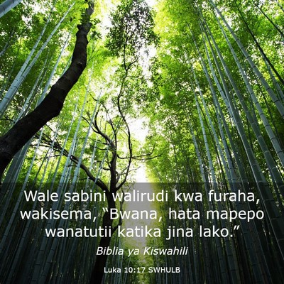 Picture 03 - Luka 10:17 SWHULB - Wale sabini walirudi kwa furaha, wakisema, - Bible Verse Picture