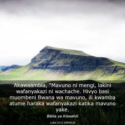 Picture 03 - Luka 10:2 SWHULB - Akawaambia, “Mavuno ni mengi, lakini - Bible Verse Picture