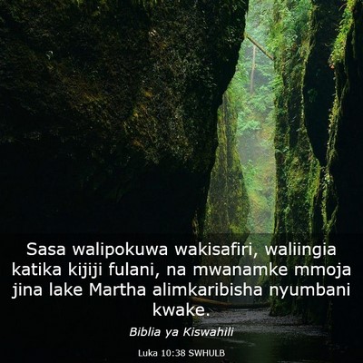 Picture 03 - Luka 10:38 SWHULB - Sasa walipokuwa wakisafiri, waliingia katika - Bible Verse Picture