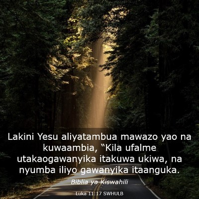 Picture 03 - Luka 11:17 SWHULB - Lakini Yesu aliyatambua mawazo yao na kuwaambia, - Bible Verse Picture