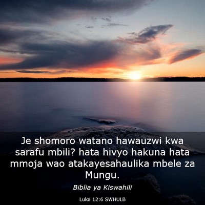 Picture 03 - Luka 12:6 SWHULB - Je shomoro watano hawauzwi kwa sarafu mbili? hata - Bible Verse Picture