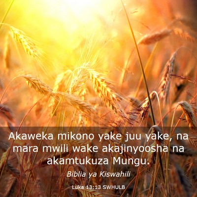 Picture 03 - Luka 13:13 SWHULB - Akaweka mikono yake juu yake, na mara mwili wake - Bible Verse Picture