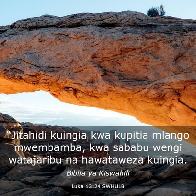 Picture 03 - Luka 13:24 SWHULB - “Jitahidi kuingia kwa kupitia mlango mwembamba, - Bible Verse Picture
