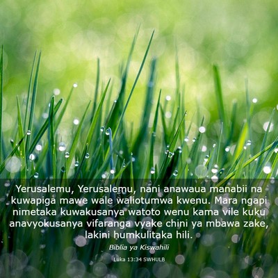 Picture 03 - Luka 13:34 SWHULB - Yerusalemu, Yerusalemu, nani anawaua manabii na - Bible Verse Picture