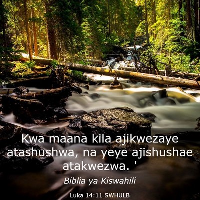 Picture 03 - Luka 14:11 SWHULB - Kwa maana kila ajikwezaye atashushwa, na yeye - Bible Verse Picture