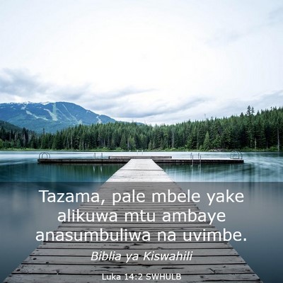 Picture 03 - Luka 14:2 SWHULB - Tazama, pale mbele yake alikuwa mtu ambaye - Bible Verse Picture