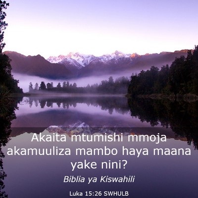 Picture 03 - Luka 15:26 SWHULB - Akaita mtumishi mmoja akamuuliza mambo haya maana - Bible Verse Picture