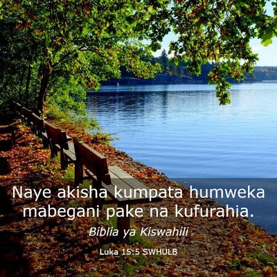 Picture 03 - Luka 15:5 SWHULB - Naye akisha kumpata humweka mabegani pake na - Bible Verse Picture