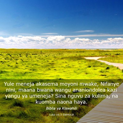 Picture 03 - Luka 16:3 SWHULB - Yule meneja akasema moyoni mwake, Nifanye nini, - Bible Verse Picture