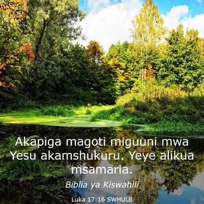 Picture 03 - Luka 17:16 SWHULB - Akapiga magoti miguuni mwa Yesu akamshukuru. Yeye - Bible Verse Picture