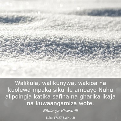 Picture 03 - Luka 17:27 SWHULB - Walikula, walikunywa, wakioa na kuolewa mpaka - Bible Verse Picture