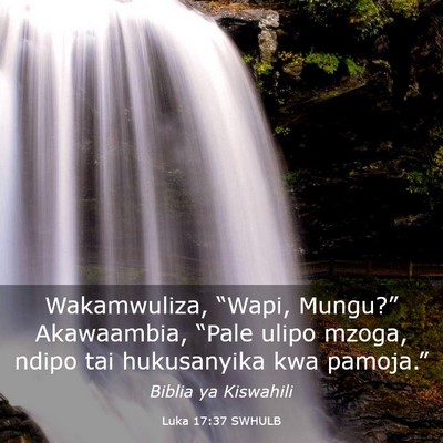 Picture 03 - Luka 17:37 SWHULB - Wakamwuliza, “Wapi, Mungu?” Akawaambia, - Bible Verse Picture