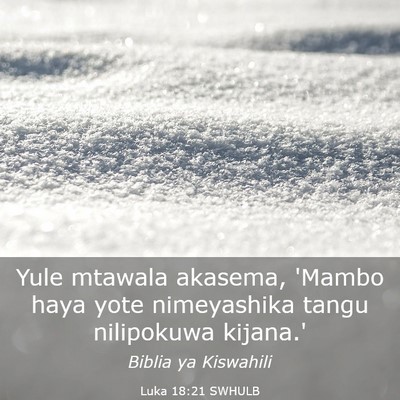 Picture 03 - Luka 18:21 SWHULB - Yule mtawala akasema, 'Mambo haya yote - Bible Verse Picture