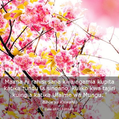 Picture 03 - Luka 18:25 SWHULB - Maana ni rahisi sana kwa ngamia kupita katika - Bible Verse Picture