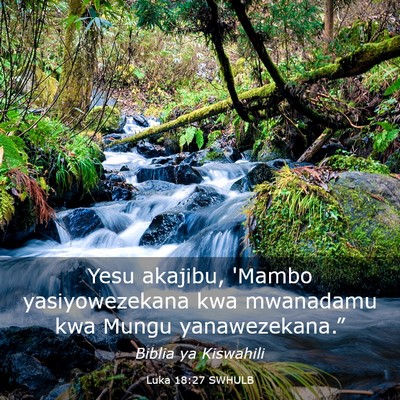 Picture 03 - Luka 18:27 SWHULB - Yesu akajibu, 'Mambo yasiyowezekana kwa mwanadamu - Bible Verse Picture