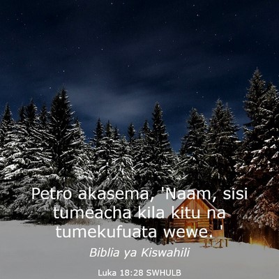 Picture 03 - Luka 18:28 SWHULB - Petro akasema, 'Naam, sisi tumeacha kila kitu na - Bible Verse Picture