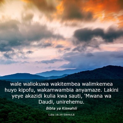Picture 03 - Luka 18:39 SWHULB - wale waliokuwa wakitembea walimkemea huyo kipofu, - Bible Verse Picture
