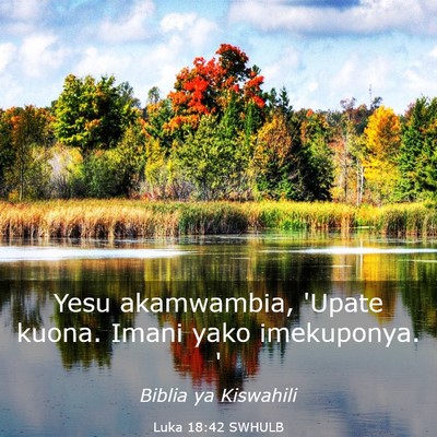 Picture 03 - Luka 18:42 SWHULB - Yesu akamwambia, 'Upate kuona. Imani yako - Bible Verse Picture