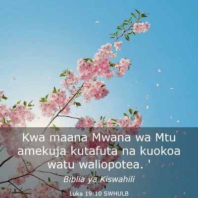 Picture 03 - Luka 19:10 SWHULB - Kwa maana Mwana wa Mtu amekuja kutafuta na kuokoa - Bible Verse Picture