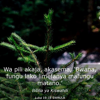 Picture 03 - Luka 19:18 SWHULB - Wa pili akaja, akasema, 'Bwana, fungu lako - Bible Verse Picture
