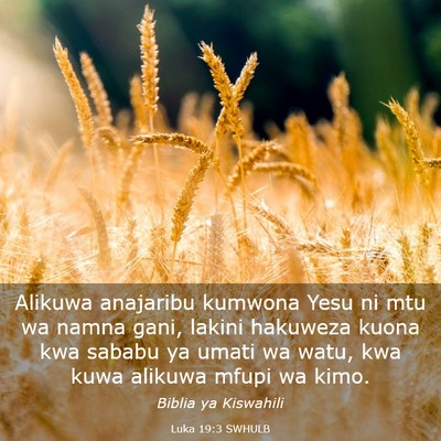 Picture 03 - Luka 19:3 SWHULB - Alikuwa anajaribu kumwona Yesu ni mtu wa namna - Bible Verse Picture