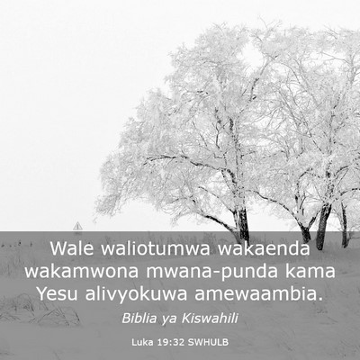 Picture 03 - Luka 19:32 SWHULB - Wale waliotumwa wakaenda wakamwona mwana-punda - Bible Verse Picture