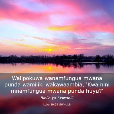 Picture 03 - Luka 19:33 SWHULB - Walipokuwa wanamfungua mwana punda wamiliki - Bible Verse Picture