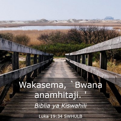 Picture 03 - Luka 19:34 SWHULB - Wakasema, `Bwana anamhitaji. - Bible Verse Picture