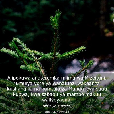 Picture 03 - Luka 19:37 SWHULB - Alipokuwa anateremka mlima wa Mizeituni, jumuiya - Bible Verse Picture