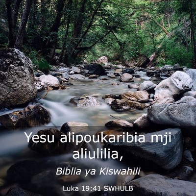 Picture 03 - Luka 19:41 SWHULB - Yesu alipoukaribia mji - Bible Verse Picture