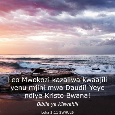 Picture 03 - Luka 2:11 SWHULB - Leo Mwokozi kazaliwa kwaajili yenu mjini mwa - Bible Verse Picture