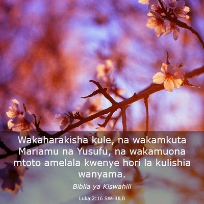 Picture 03 - Luka 2:16 SWHULB - Wakaharakisha kule, na wakamkuta Mariamu na - Bible Verse Picture