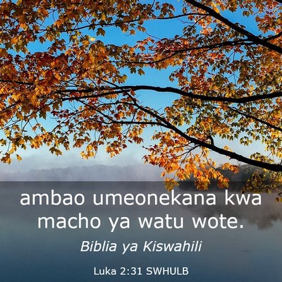 Picture 03 - Luka 2:31 SWHULB - ambao umeonekana kwa macho ya watu - Bible Verse Picture