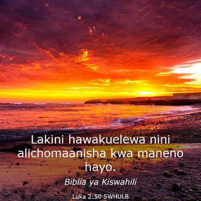 Picture 03 - Luka 2:50 SWHULB - Lakini hawakuelewa nini alichomaanisha kwa maneno - Bible Verse Picture