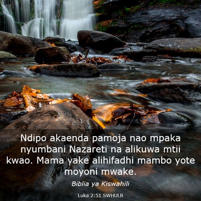 Picture 03 - Luka 2:51 SWHULB - Ndipo akaenda pamoja nao mpaka nyumbani Nazareti - Bible Verse Picture
