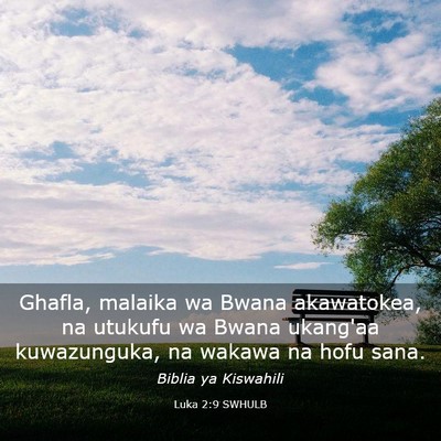 Picture 03 - Luka 2:9 SWHULB - Ghafla, malaika wa Bwana akawatokea, na utukufu - Bible Verse Picture