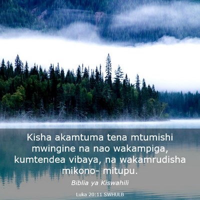 Picture 03 - Luka 20:11 SWHULB - Kisha akamtuma tena mtumishi mwingine na nao - Bible Verse Picture