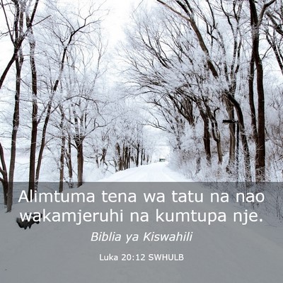 Picture 03 - Luka 20:12 SWHULB - Alimtuma tena wa tatu na nao wakamjeruhi na - Bible Verse Picture