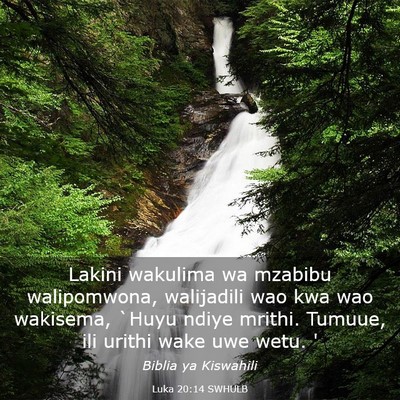 Picture 03 - Luka 20:14 SWHULB - Lakini wakulima wa mzabibu walipomwona, - Bible Verse Picture